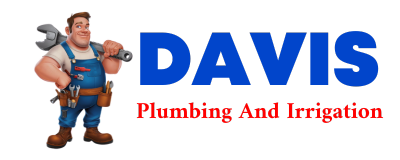 Trusted plumber in NUNN